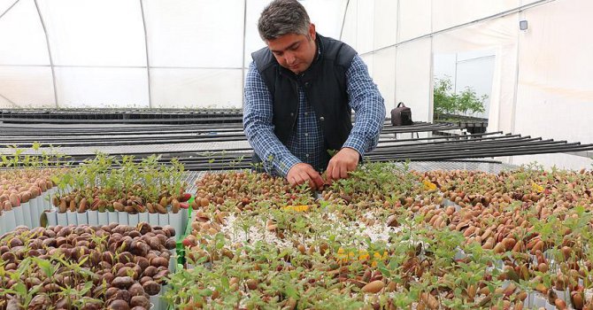 'Siyah elmas' Türkiye'de üretilecek