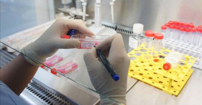 Dünya devleri sağlık yatırımı için Türkiye'ye geliyor