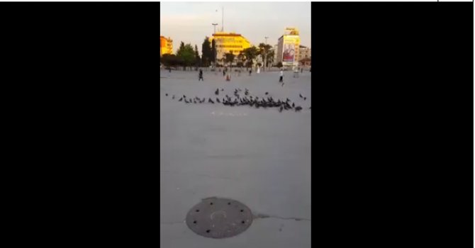 Kuş yeminden 'Allah' yazdılar fakat kuşlar o yazıya yaklaşmadı...(video)