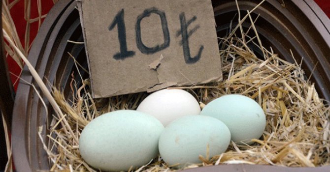 Bu yumurtaların tanesi 10 lira