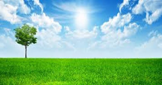 Hiç düşünmez misiniz?