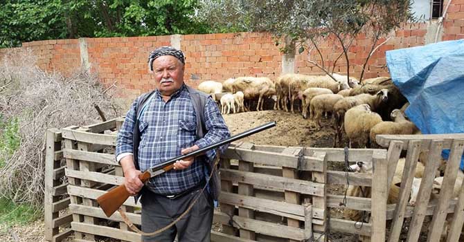 İzmir'de nöbetleşe 'canavar' avı
