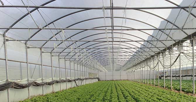 Varank: Seracılıkta dijital teknolojileri desteklemeye başladık