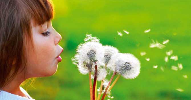 Polen Mevsimi'nin gelişi alerjisi olanları korkutuyor