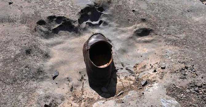 Bir dinazora ait en küçük ayak izleri