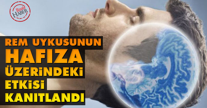 REM uykusunun hafıza üzerindeki etkisi kanıtlandı