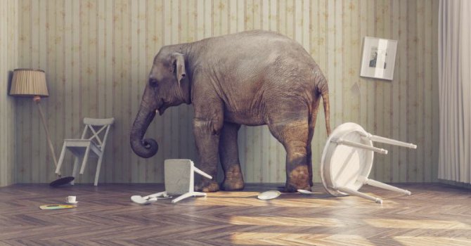 Bir Odaya Girdiğinizde Birdenbire Ne Yapacağınızı Unutma Durumu: Kapı Eşiği Etkisi