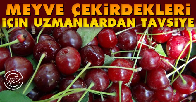 Uzmanlardan meyve çekirdeği tavsiyesi