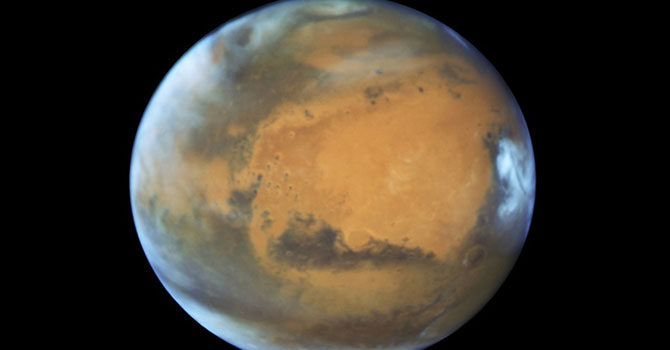 İlk Mars sebze ve meyveleri denenmeye hazır...