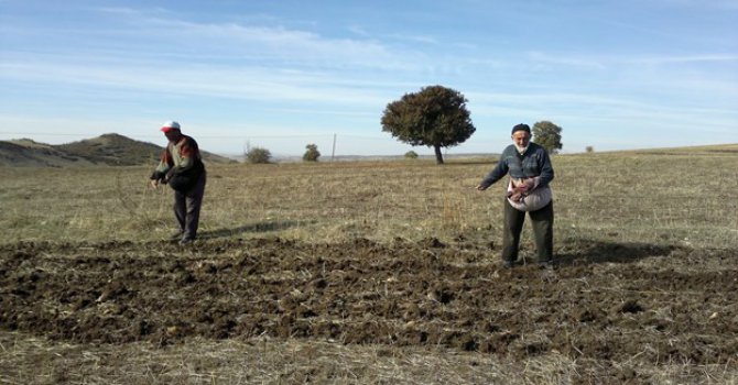 Mal veya servetin sahibine asıl faydası