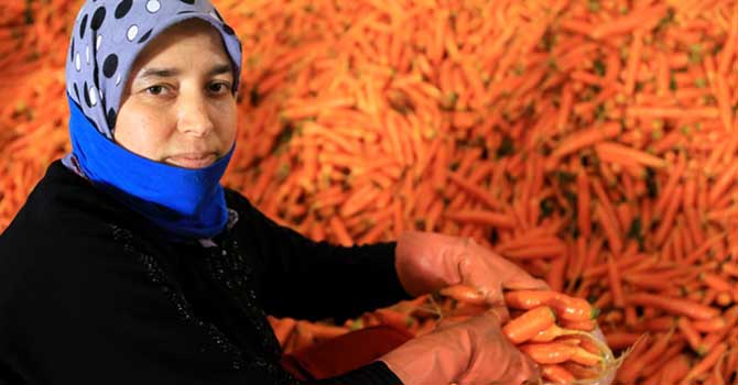 Kainat eczanesinde sebzelerin faydaları