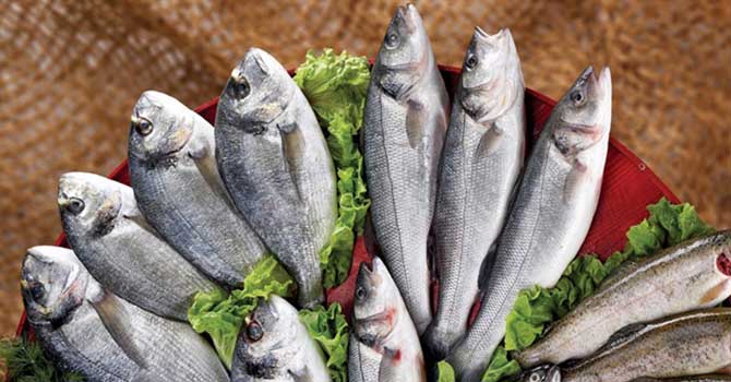 Balık tüketimi dünya ortalamasının altında