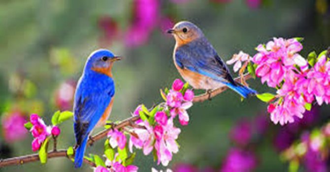 Herkes bakar ama herkes göremez!