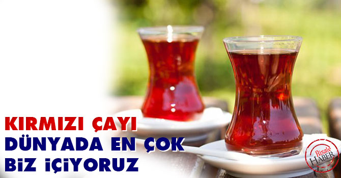 Kırmızı çayı dünyada en çok biz içiyoruz