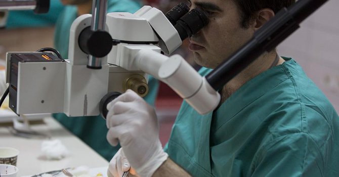 Yapay sinir sistemi geliştirildi