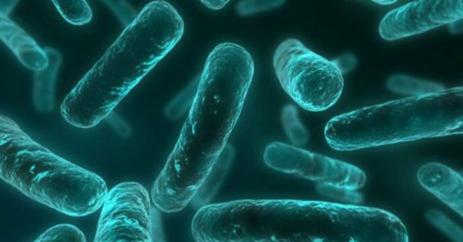 Antibiyotik'lerin sonu geldi