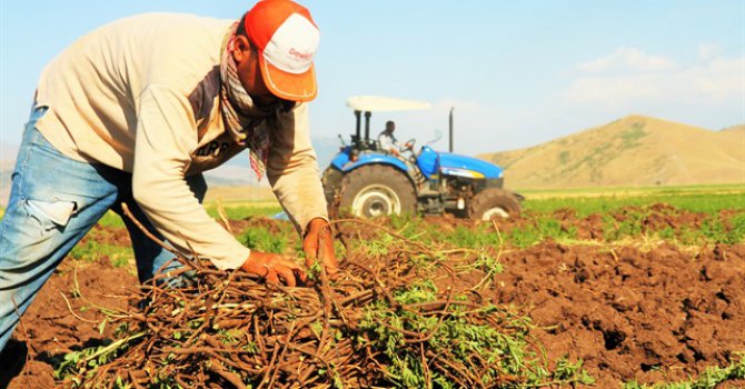 Çiftçi Kayıt Sistemi'ne başvuru süresi 31 Aralık'a uzatıldı
