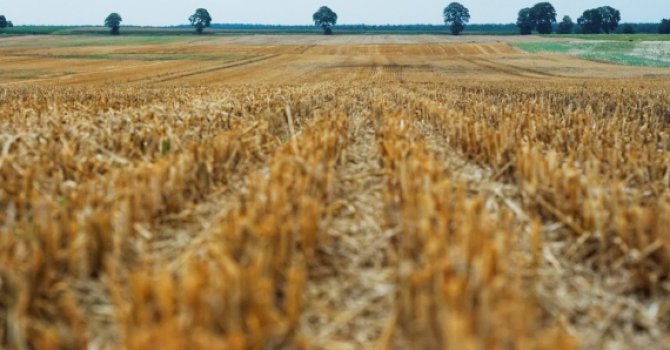 Ortadoğu'daki çatışmalar gıda sistemini etkiliyor