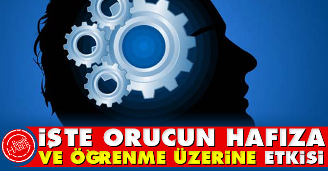 İşte Orucun hafıza ve öğrenme üzerine etkisi