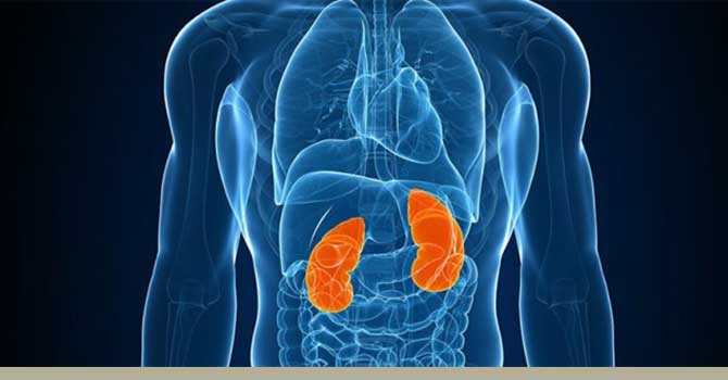 Oruç tutan böbrek hastalarına uzmanından uyarı