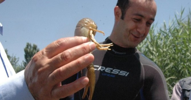 Türkiye'de ilk kez yapılacak! Binlerce kişiye iş imkanı sağlayacak