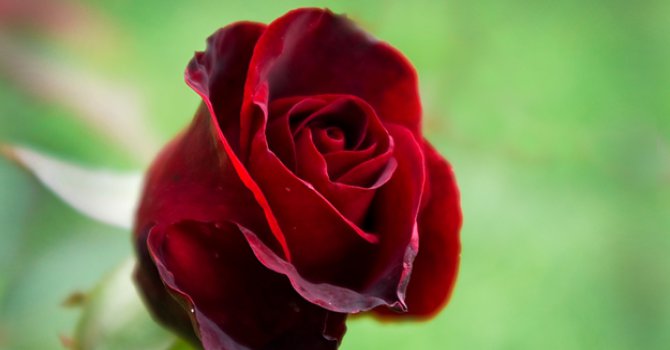 2017 Anneler Günü ne zaman?