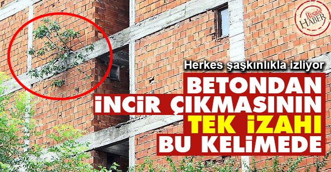 Betondan incir çıkmasının tek izahı bu kelimede