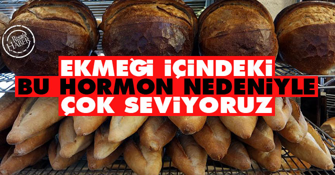 Ekmeği, içindeki bu hormon nedeniyle çok seviyoruz