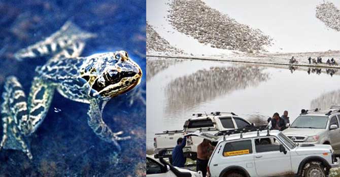 9 kişiye 368 bin 217 lira kurbağa cezası