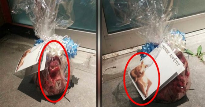 Kanada'da Cami'ye alçak saldırı!