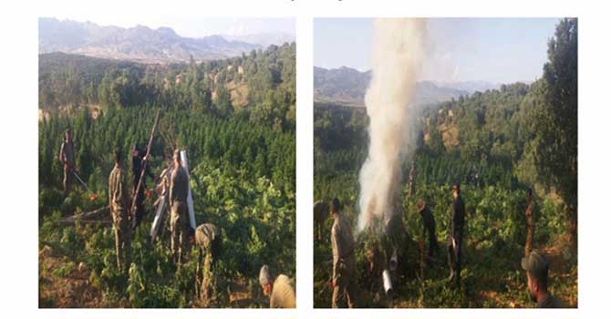 PKK'nın finans kaynağına büyük darbe