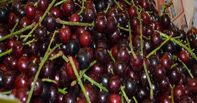 Karayemişin faydaları saymakla bitmiyor