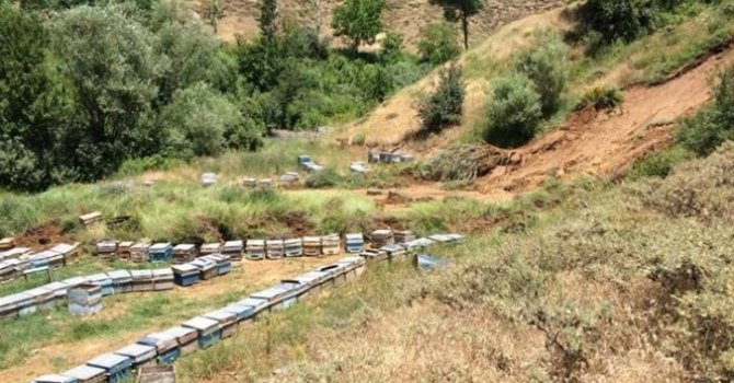 Heyelan 30 bin TL zarar verdi