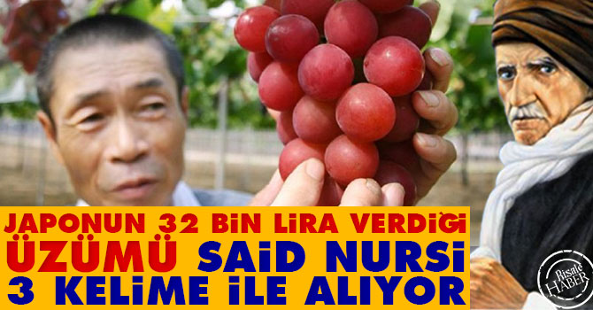 Japonun 32 bin lira verdiği üzümü Said Nursi 3 kelime ile alıyor