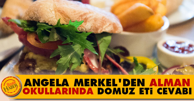 Merkel'den 'Alman okullarında domuz eti' cevabı