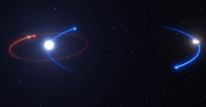 Bu gezegende bir yıl, Dünyanın 550 yılına eşit