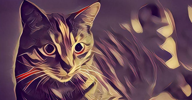 Prisma Android'te- Prisma uygulamasını TIKLA ve hemen İNDİR