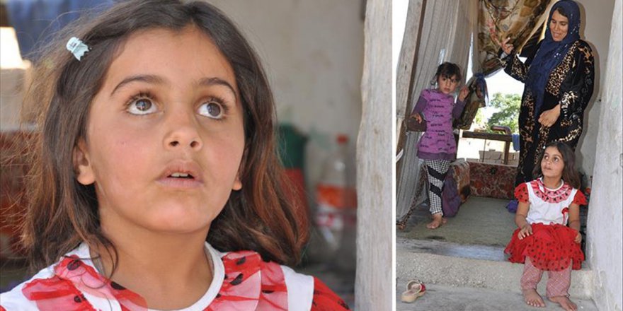 Suriyeli Mülteci: Türkiye bir ana gibi bizi bağrına bastı