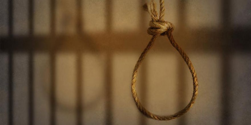 Avusturya: Türkiye'de İdam geri gelirse...