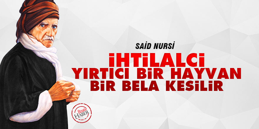 Said Nursi: İhtilalci, yırtıcı bir hayvan, bir bela kesilir
