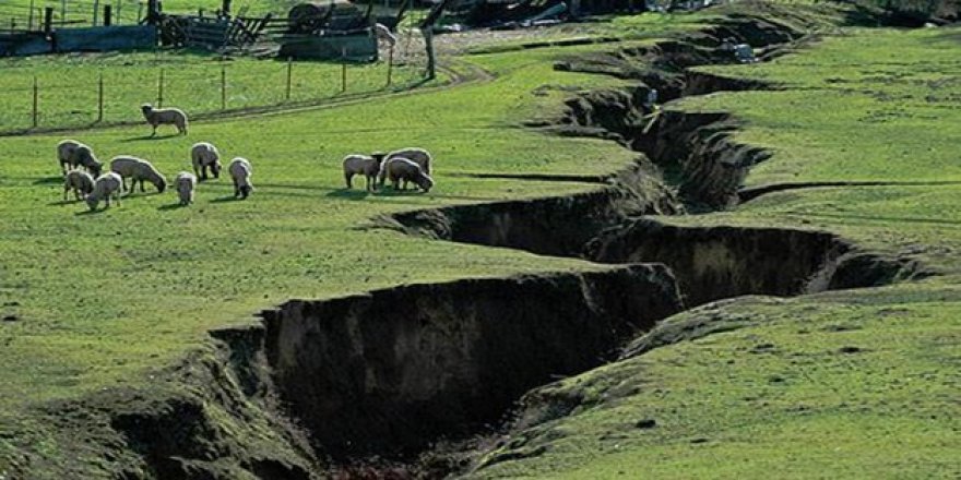 Fay hatları neden oturmuş olarak yaratılmadı?
