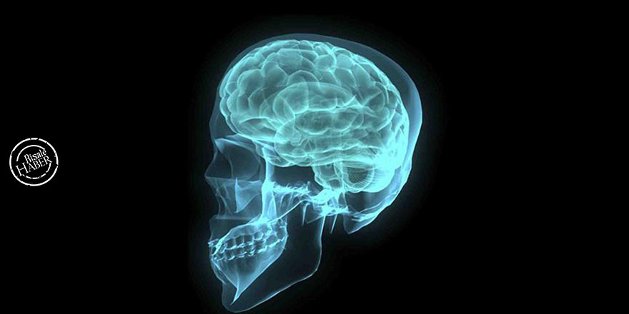 Beynin en fazla değişime uğrayan bölgeleri belirlendi