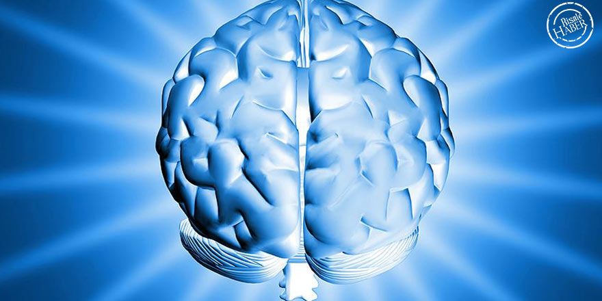 Alzheimer nedir? Tedavisi var mı? Alzheimer'a kısa bir bakış