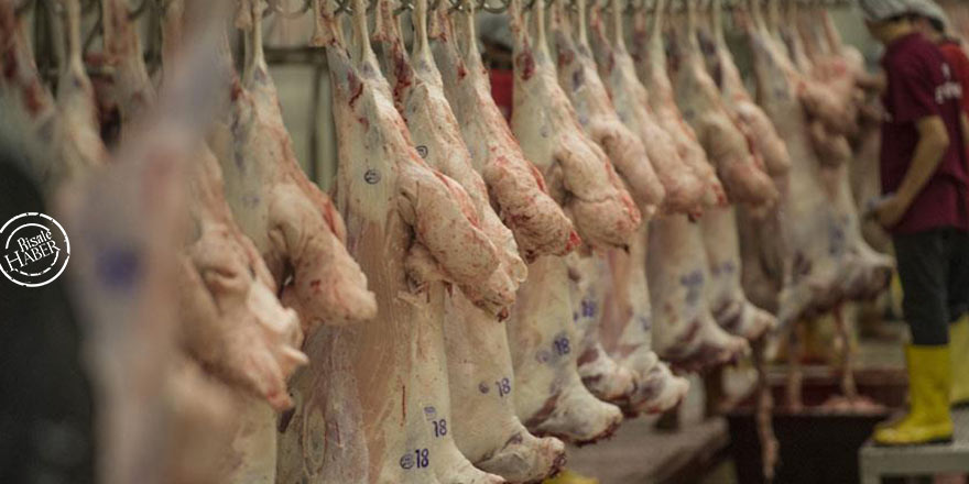 Darbe belasında Vatan için 'bin koyun' adadı