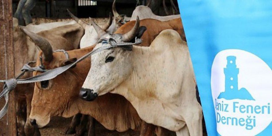 Deniz Feneri Derneği Kurban Bayramı hedefini açıkladı