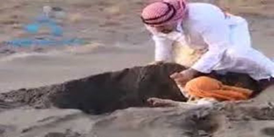 En aşağıdayken en yukarılara çıkmak