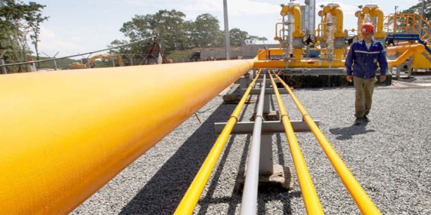 'Türk Akımı başlangıçta tek hat olacak'