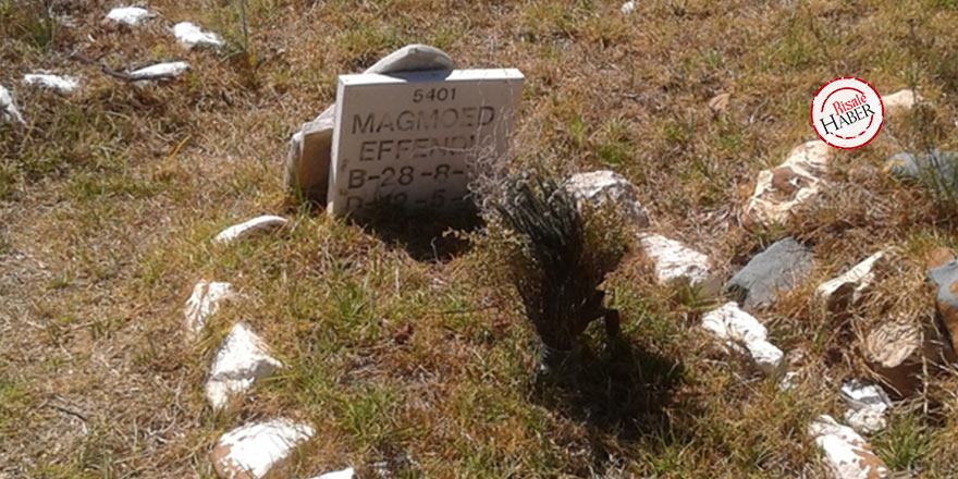 İslam'ı öğretmek için Afrika’ya giden alimin evi müze oldu