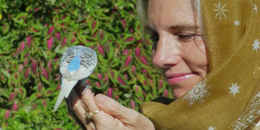 Mevlid-i Şerif İngilizce okunacak