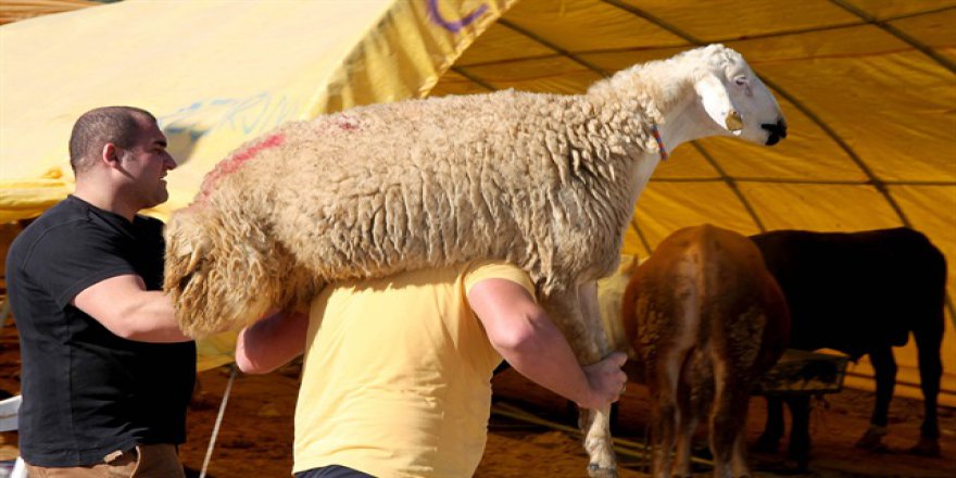 Vatandaşa 'Kurban Bayramı' uyarısı